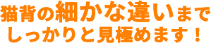 猫背の子もかな違いまでしっかりと見極めます