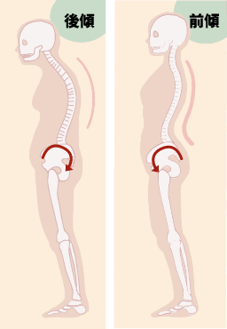 猫背骸骨のイラスト